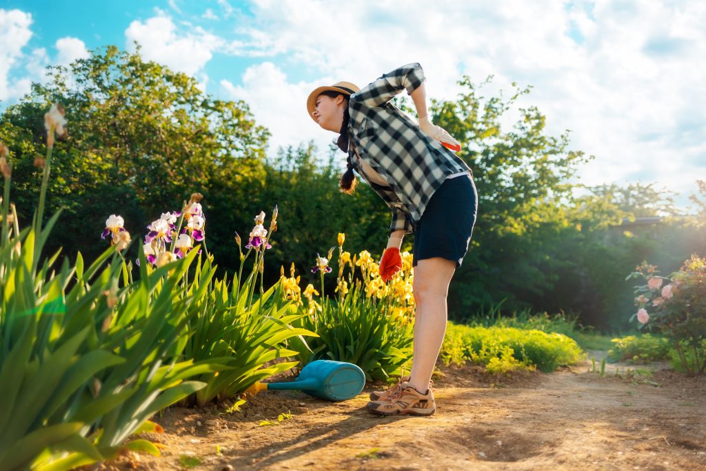 How to Prevent Back Pain With Simple Movements AdobeStock 506457547 how to prevent back pain with simple movements back pain